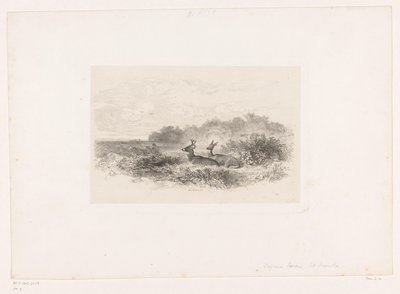 Landscape with Two White-Tailed Deer (Landscapes with Animals) by Karl Bodmer