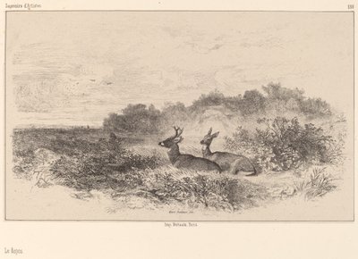 The Rest by Karl Bodmer