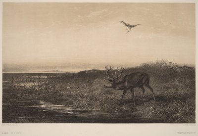 The Evening. Deer and Herons by Karl Bodmer