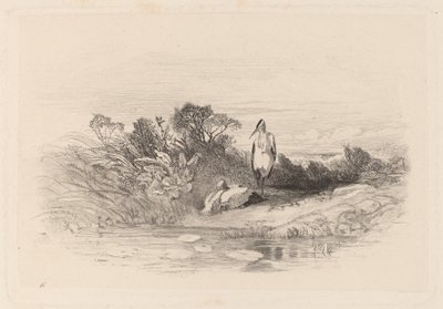 The Two Herons by Karl Bodmer