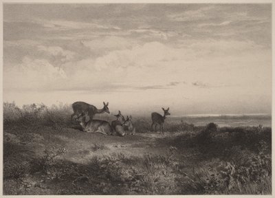 The Does by Karl Bodmer