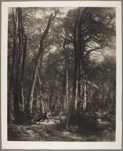 Man in Woods by Karl Bodmer