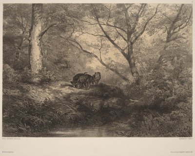 Wild Boars by Karl Bodmer
