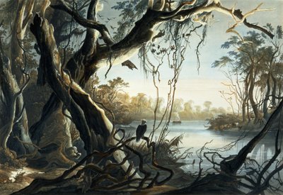 The Mouth of the Fox River, Indiana, Plate 5 from Volume 2 of 