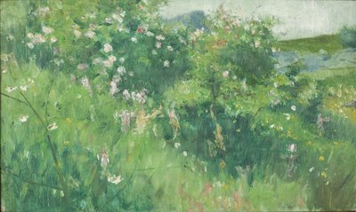 Briar-Rose Bushes Flowering on the Isle of Tjörn by Karl Fredrick Nordstrom