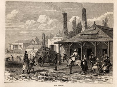 A Sugar Factory from the Riviere du Rempart in Mauritius by Karl Girardet