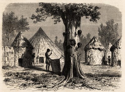 The tree of war, in a village Djour, Bahr-el-Gazal region, Sudan, drawing by Karl Girardet to illustrate the journey to the river of the gazelles of A. Bolognesi, in 1856-1857. Engraving in 