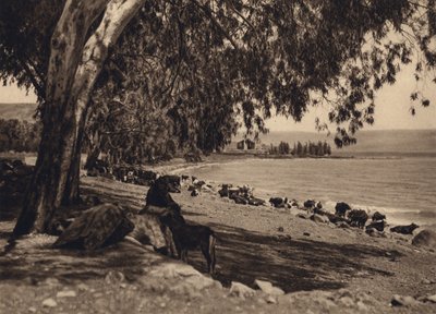 Lake Gennezar, Place where the Five Thousand were fed by Karl Grober