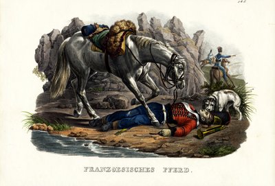 French Horse, 1824 by Karl Joseph Brodtmann