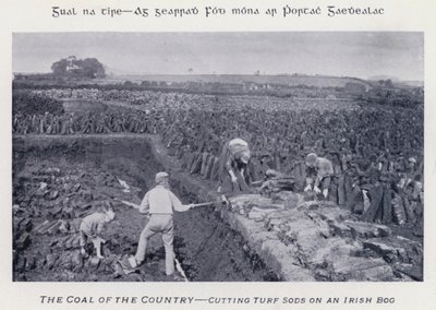 The Coal of the Country, Cutting Turf Sods on an Irish Bog by Karl Karlovich Piratsky
