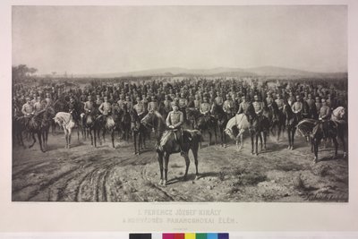 Emperor Franz Joseph I at the Pinnacle of the Hungarian Territorial Army by Karl Ritter Von Kobierski