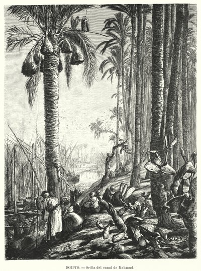 Banks of the Mahmoudiyah Canal, Egypt by Karl Wilhelm Gentz