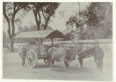 Two Javanese Boys with an Ox Cart Transporting Goods by Kassian Cephas