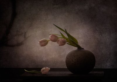 Elegant Moody Tulips by Katarina Holmström
