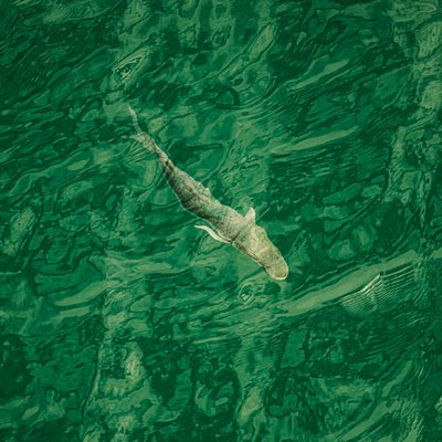 In Deep Water (to the right), 2021 by Katha Wood