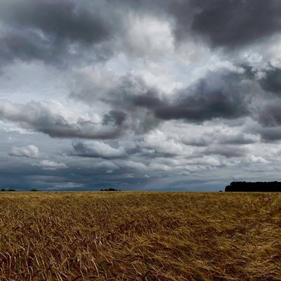 Stormy Sky Over a Late Summer Crop 2020 by Katha Wood