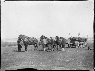 Broomfield, Broomfield And Kingswood, Maidstone, Kent, 06/04/1904 by Katherine Jean Macfee