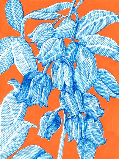 Vibrant Blue Botanicals by Katie O'Shea