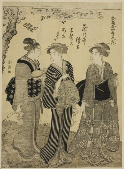 Cherry Blossoms in Spring, from the series 