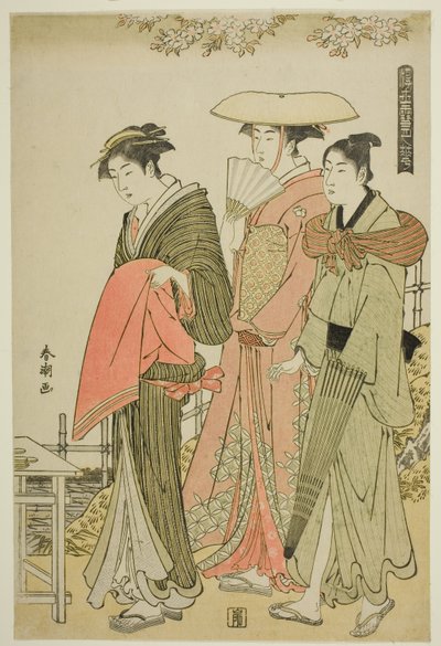 Flowers, from the series 