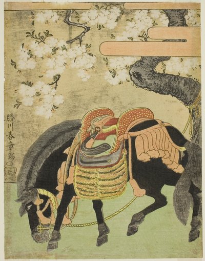 Black Horse Tethered under a Blossoming Cherry Tree by Katsukawa Shunsho