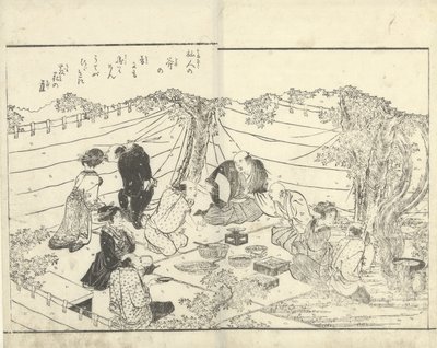 Company Under a Cherry Tree by Katsukawa Shuntei