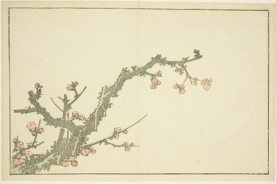 Blooming Plum Tree, from The Picture Book of Realistic Paintings of Hokusai by Katsushika Hokusai
