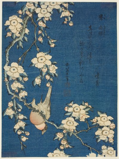 Bullfinch and Weeping Cherry, from an untitled series of flowers and birds by Katsushika Hokusai