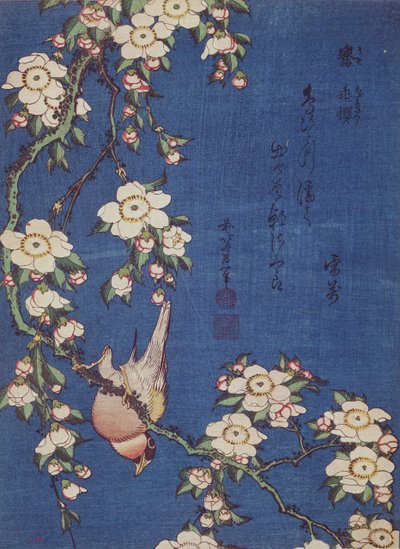 Bullfinch and Weeping Cherry-Tree, pub. c.1834 by Katsushika Hokusai