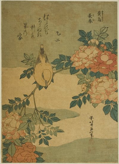 Bush Warbler and Rose, from an untitled series of flowers and birds by Katsushika Hokusai