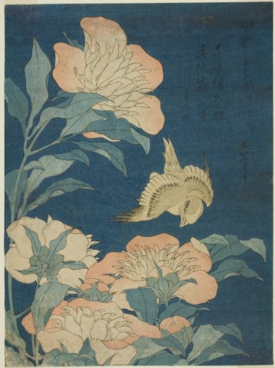 Canary and Peony, from an Untitled Series of Flowers and Birds by Katsushika Hokusai