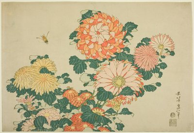 Chrysanthemums and Bee, from an Untitled Series of Large Flowers by Katsushika Hokusai