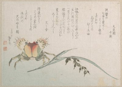 Crab and Rice Plant by Katsushika Hokusai