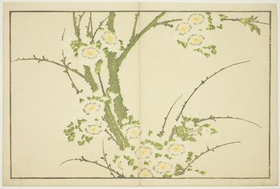 Flowers, from The Picture Book of Realistic Paintings of Hokusai by Katsushika Hokusai