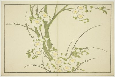 Flowers, from The Picture Book of Realistic Paintings of Hokusai by Katsushika Hokusai
