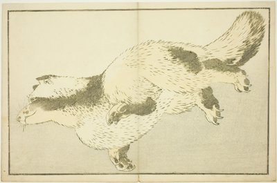 Fox, from The Picture Book of Realistic Paintings of Hokusai by Katsushika Hokusai