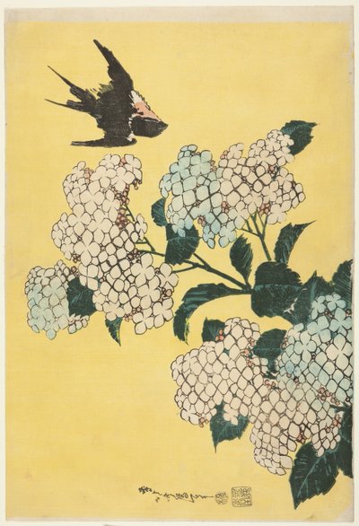 Hydrangea and Swallow, from an untitled series of large flowers by Katsushika Hokusai