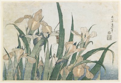 Iris Flowers and Grasshopper by Katsushika Hokusai
