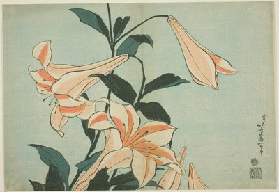 Lilies, from an Untitled Series of Large Flowers by Katsushika Hokusai