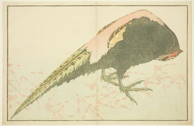 Male Pheasant, from The Picture Book of Realistic Paintings of Hokusai by Katsushika Hokusai