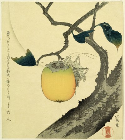 Moon, Persimmon and Grasshopper, 1807 by Katsushika Hokusai