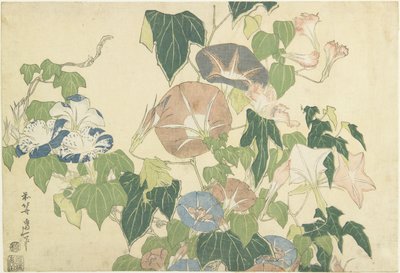 Morning Glories and Tree Frog, from the untitled series known as Large Flowers, c.1833-34 by Katsushika Hokusai