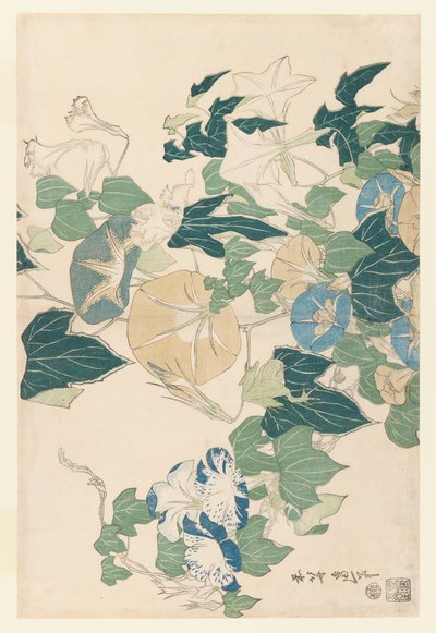 Morning Glories in Flowers and Buds by Katsushika Hokusai