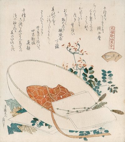 Myriad Grasses Shell from the Series 