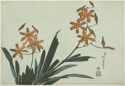 Orange Orchids, from an Untitled Series of Flowers by Katsushika Hokusai