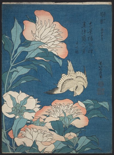 Peonies and Canary (Shakuyaku, kanaari), from an untitled series known as Small Flowers by Katsushika Hokusai