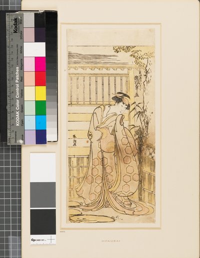 Segawa Kikinojō outside a house playing the part of a Hoso-ya courtesan by Katsushika Hokusai