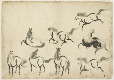 Studies of Horses, c.1815-1849 by Katsushika Hokusai