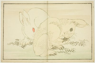 Two Rabbits, from The Picture Book of Realistic Paintings of Hokusai by Katsushika Hokusai