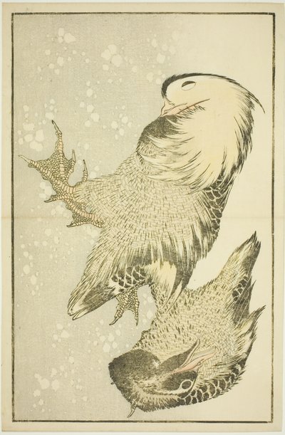 Two Waterfowl, from The Picture Book of Realistic Paintings of Hokusai by Katsushika Hokusai